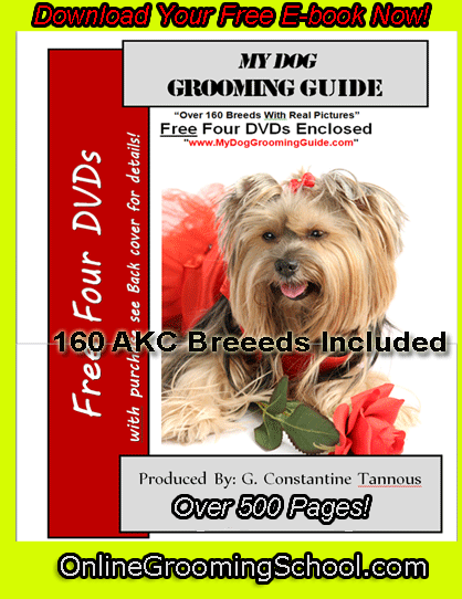 Free Dog Grooming Guide