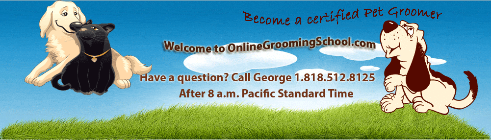 pet and dog grooming school